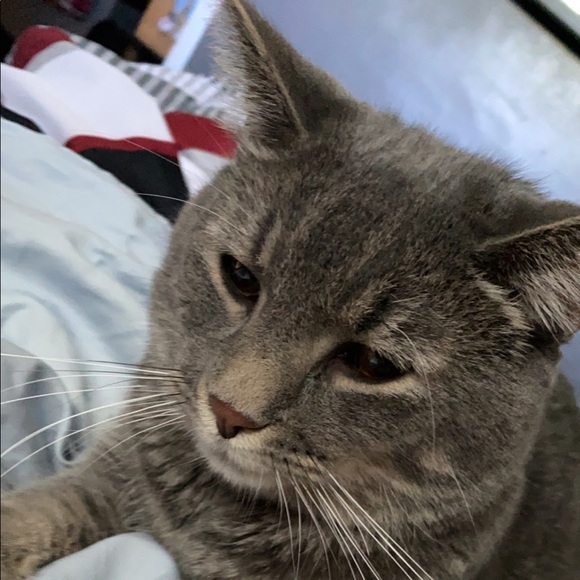 Meet your Posher, Matthew - Picture 1 of 1